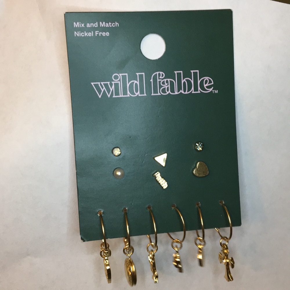 Earrings (never used)